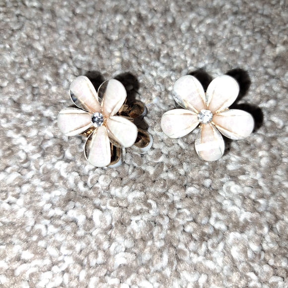 Accessories - Set Of Two Hair Clip Accessory